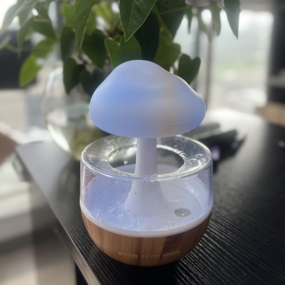 Humidifier Night Light